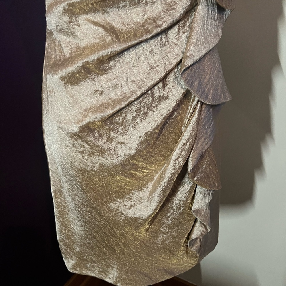 Suzi Chin for Maggie Boutique Dress - Picture 3 of 9